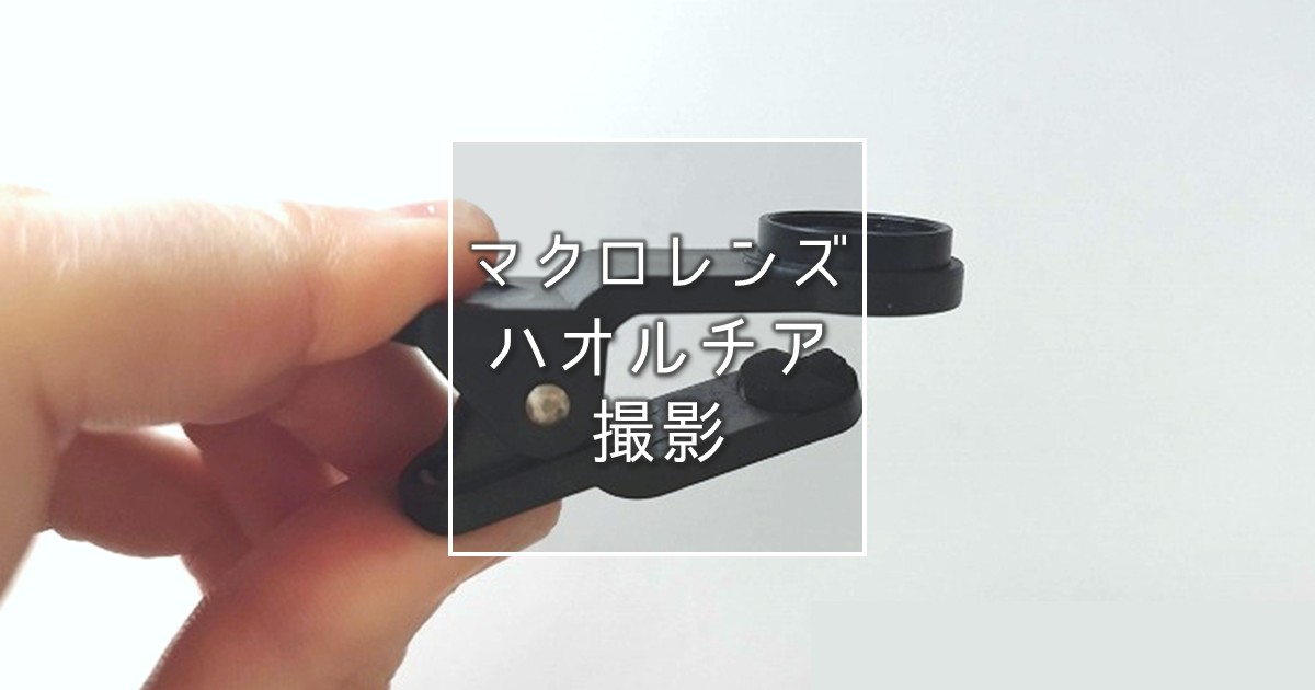 100円ショップで買える！マクロレンズでハオルチアを撮影