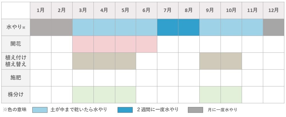 ハオルチア栽培カレンダー