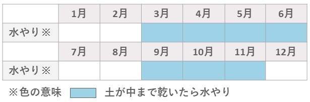 ハオルチア水やり春と秋