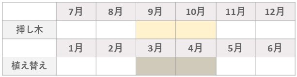 薔薇挿し木のカレンダーsp