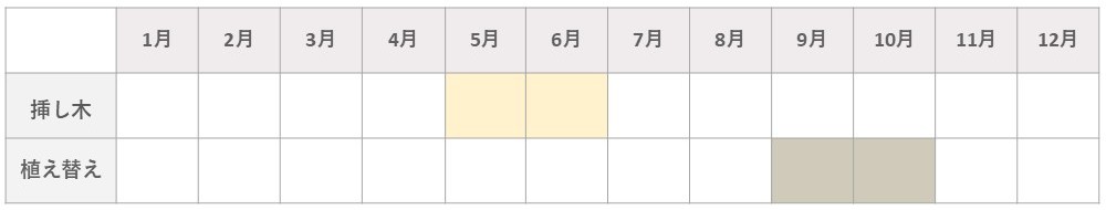 薔薇挿し木のカレンダー