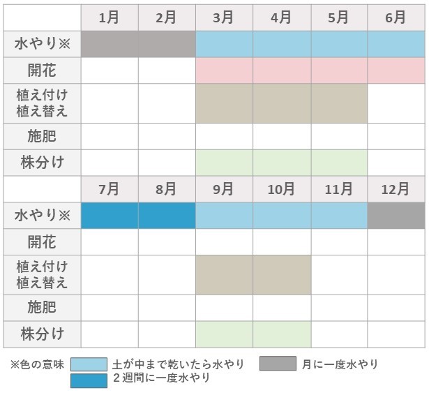 ハオルチア栽培カレンダー