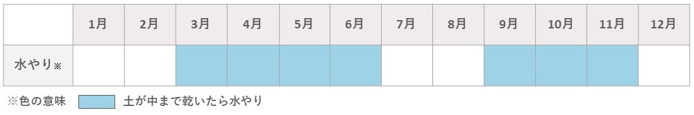 ハオルチア水やり春と秋