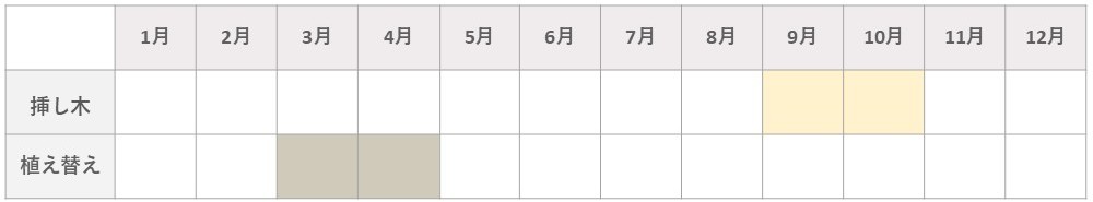 薔薇挿し木のカレンダー