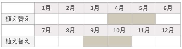 エケベリア植え替え時期_SP