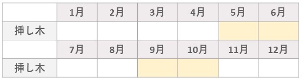 薔薇挿し木カレンダー_SP