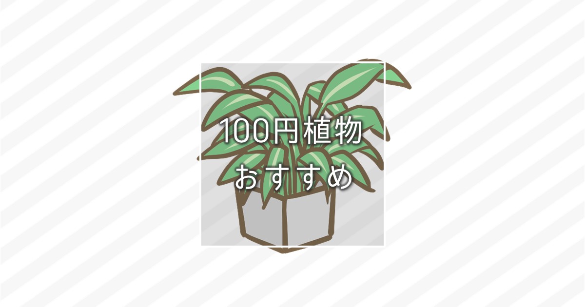 100円ショップの植物がおすすめな理由