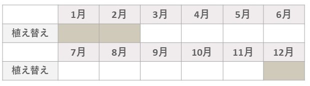 ミニバラの植え替え時期