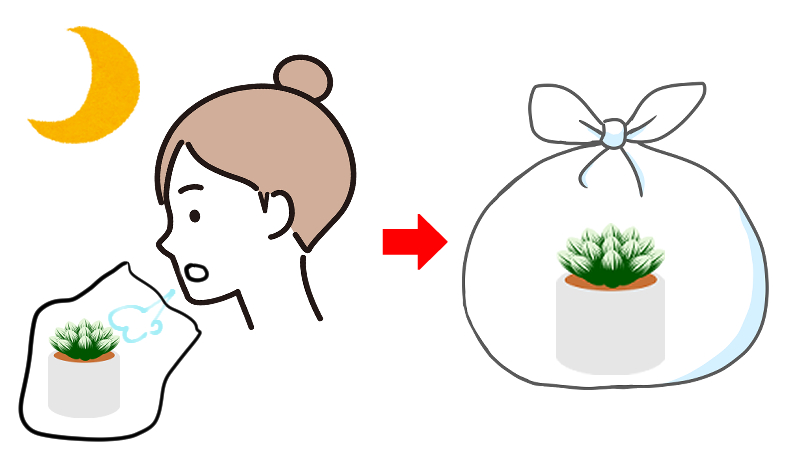 夜は息を入れて袋を膨らませて縛る